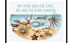 in-the-sea-of-life-ocean-awareness-typography-ocean-awareness-microplastics