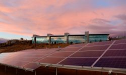 Securing Environmental Progress: The Importance of Credit Insurance in Energy Transition solar-panels-on-brown-field