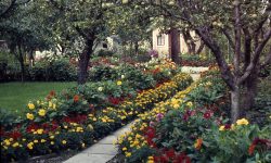 Garden with Sustainable Practices