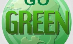 go-green-company-button