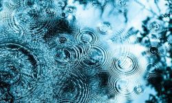 Small Changes For A Greener Home greener home rain water