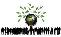 Sustainable Living - The Greener Lifestyle