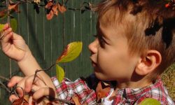 kid and toxins in the home and garden